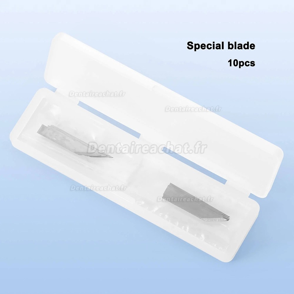 Lames de sculpture pour stylo de gravure ultrasons (10 pièces/boîte)